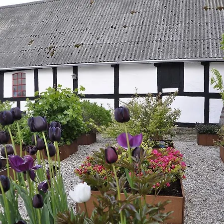 Apartment Lundsgaard *