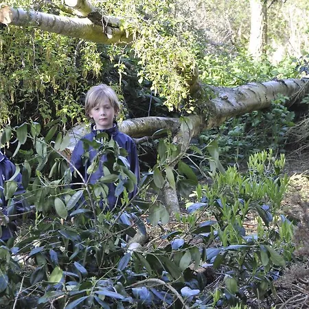 Lundsgaard Lägenhet