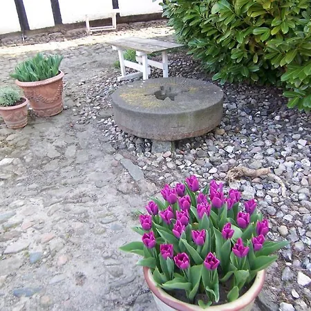 Lundsgaard Apartment Fåborg