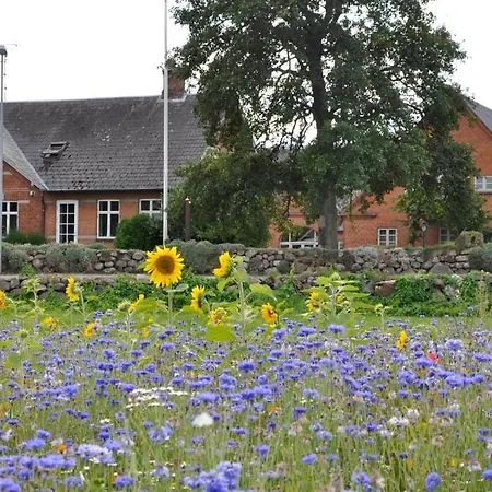 Lundsgaard Lejlighed Faaborg