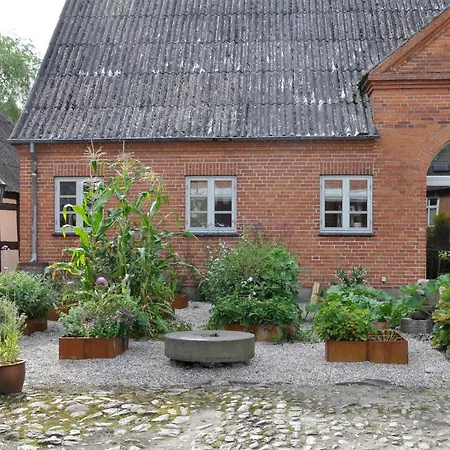 Lundsgaard