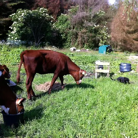 Lundsgaard Apartment Fåborg