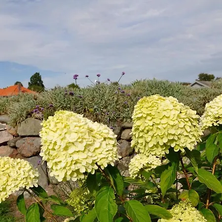 Lägenhet Lundsgaard