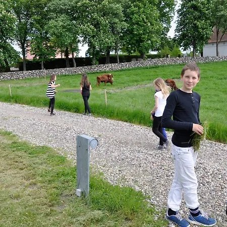 Lundsgaard * Fåborg