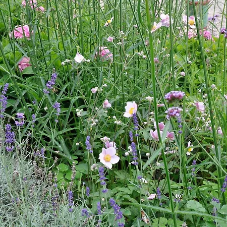 Lägenhet Lundsgaard *