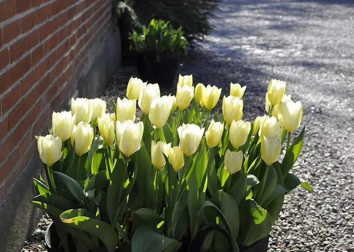 Lundsgaard Διαμέρισμα Fåborg