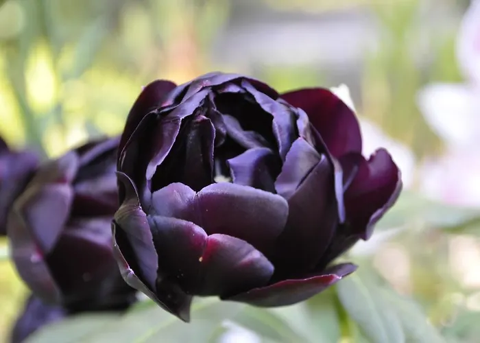 Lundsgaard Διαμέρισμα Fåborg