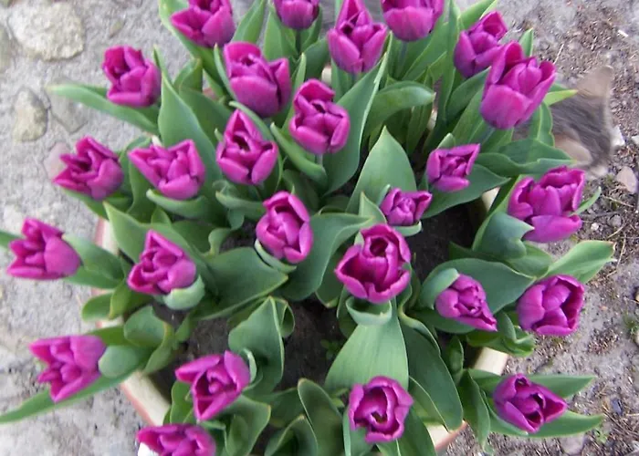 Lundsgaard Διαμέρισμα