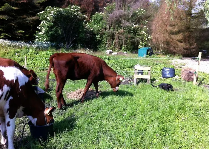 Lundsgaard Διαμέρισμα Fåborg