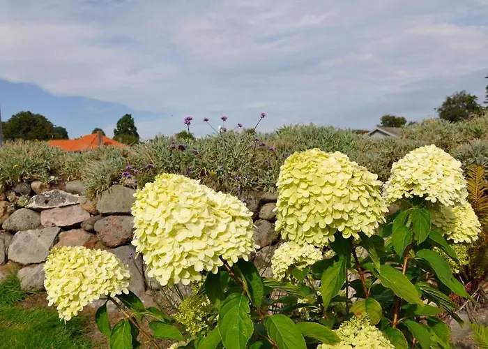 Διαμέρισμα Lundsgaard