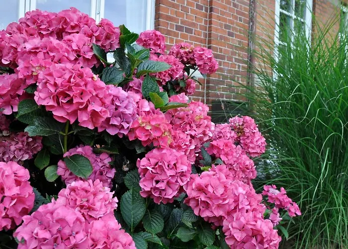 Lundsgaard Διαμέρισμα Fåborg