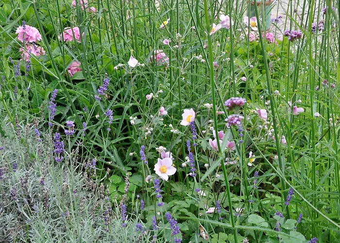 Διαμέρισμα Lundsgaard *